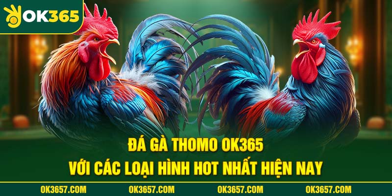 Phong phú các thể loại Đá gà Thomo Ok365 siêu hấp dẫn