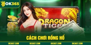 Cách Chơi Rồng Hổ - Bí Quyết Chiến Thắng Chỉ Có Tại OK365