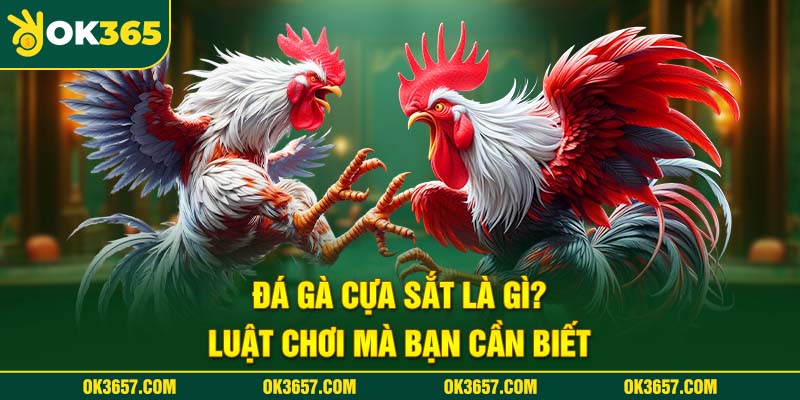 Có nhiều cửa cược tại Đá gà cựa sắt là gì?