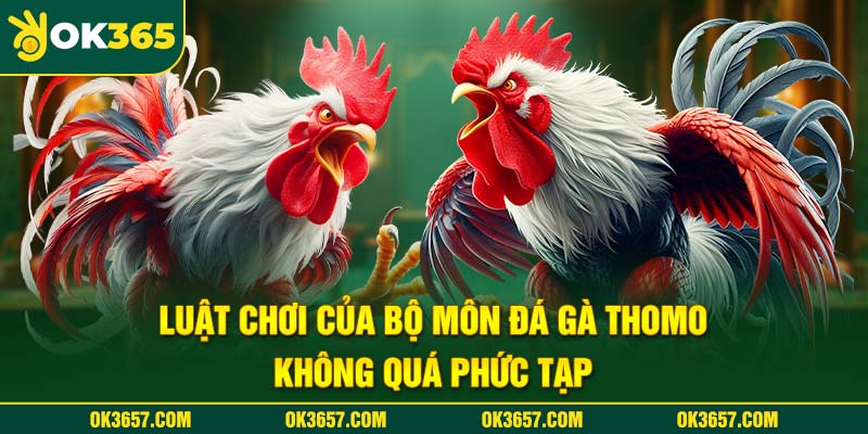 Luật chơi của bộ môn đá gà Thomo Ok365