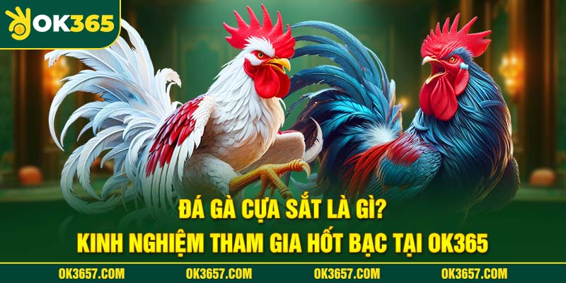 Đá gà cựa sắt là gì? Cuốn hút nhiều lượt theo dõi