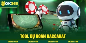 Tool Dự Đoán Baccarat - Trợ Thủ Đắc Lực Thắng Lớn Tại OK365